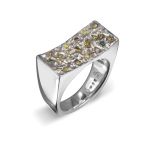 sterling silver, coloured diamonds PASH Jewellery Design, Gillian E. Batcher