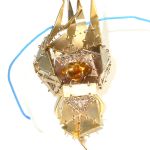 sterling silver, citrine, partially removed 18K yellow gold plating, silk cord PASH Jewellery Design, Gillian E. Batcher